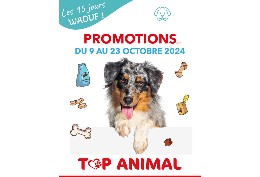 LES 15 JOURS WAOUF !